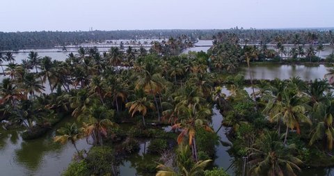 Drone footage of the Changaram Wetlands on the coast between Alappuzha and Kochi, Kerala, India, palm trees are bordering plots of flooded areas