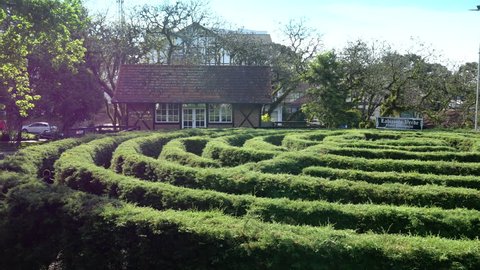 Garden Maze Outdoor Labyrinth Panning Shot. Nova Petropolis, Brazil - 05 October 2018; Beautiful garden maze made of bushes. Panning shot