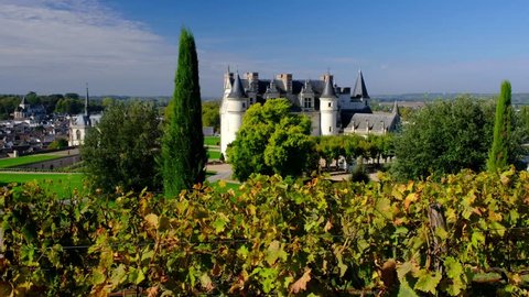Amboise-France/Loire - October 10 2019 -  Royal Amboise castle - The castle, the garden and the Loire river in  background - Motion view