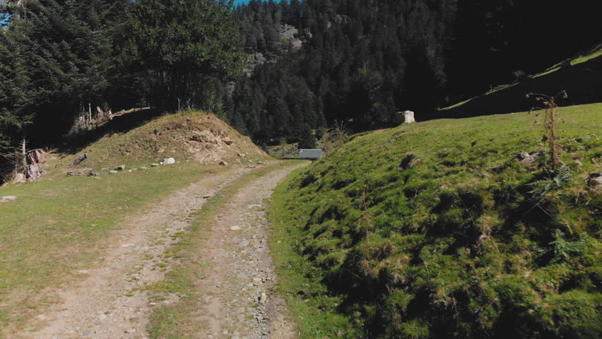Aerial View of Mountain Hut with Fir Forest, by Drone 1