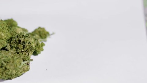Cannabis / Marijuana Buds