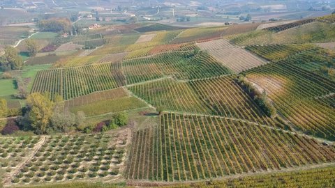 Aerial nature landscape beautiful hills forests fields and vineyards. Fall autumn footage of wine region with yellow and orange colors