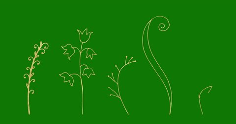Flourish With A Green Screen Stock Footage Video 100 Royalty Free 1019234821 Shutterstock