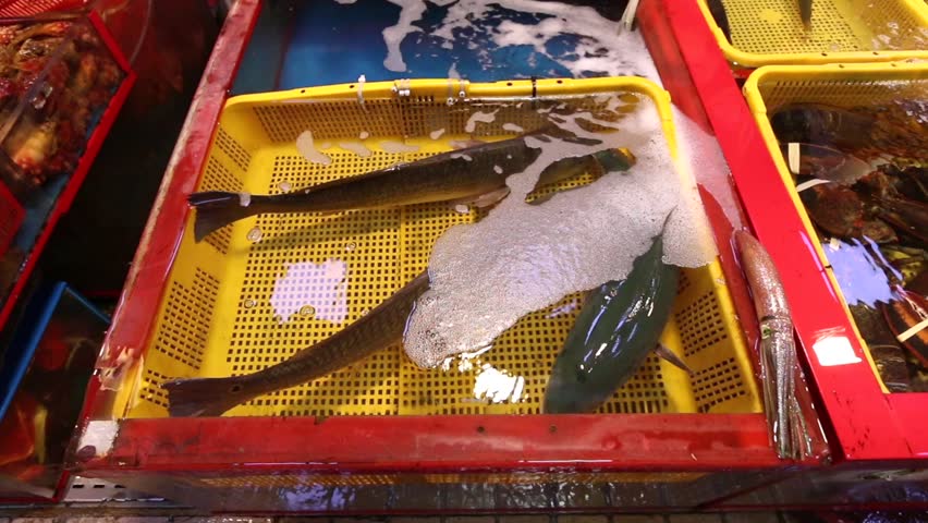 Seafood market, Fish Market of Busan, South Korea