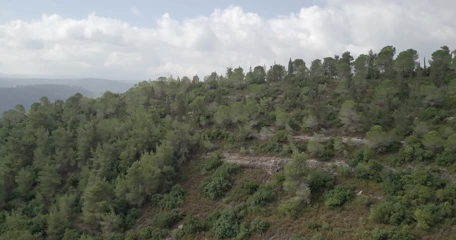 Aerial view over Pine Forests, Jerusalem hills, Israel
Pine Forests, Drone shot, Jerusalem hills, Israel
