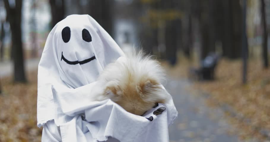 Little girl in a costume ghost with orange pumpkin holding small dog . Halloween celebration holiday. Funny smiling grimace