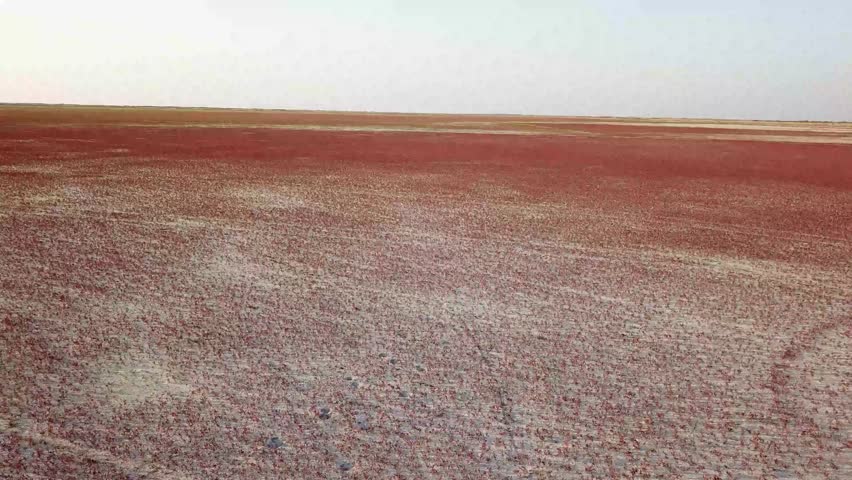 The Racetrack Playa in Death Valley National Park, California