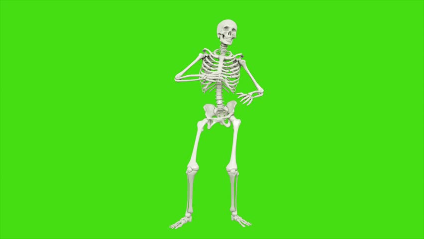 Skeleton Dancing Seamless Loop Animation On Green Screen