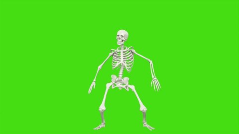 Skeleton Dancing Seamless Loop Animation On Stock Footage Video (100%  Royalty-free) 1018230094 | Shutterstock