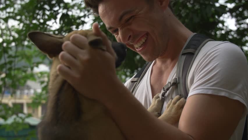 Young caucasian man playing with dogs in Ha Long Bay, Vietnam