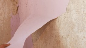 Home repairs. The male hand peels off the pink old wallpaper from the walls with a special spatula - Powered by Shutterstock - Get 15% off with code: PIKWIZARD15