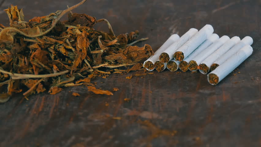 Home-made cigarettes or roll-ups are on the table next to the big leaves of dry tobacco