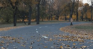 Motorcyclist man riding a motorcycle cafe-racer on an empty road in park. Yellow autumn foliage is scattered in different directions. back view. 4K video shooting by handheld gimbal