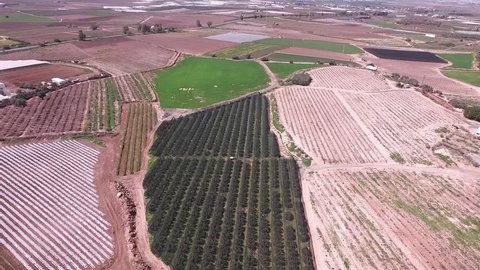Fields in Izrael valley