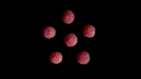 Five isolated red raspberries squished in the studio with black background