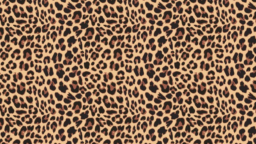 Close up, slow motion of moving leopard hair. Seamless loopable animationof beautiful exotic animal pattern. Abstract natural background. African wild cat fur. 
