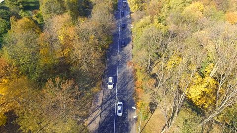 Overhead aerial top view over car travelling through colorful forest