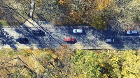 Overhead aerial top view over car travelling through colorful forest
