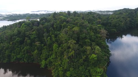 Primary rainforest along a man made lake in Guiana. Aerial drone shot