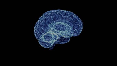 Hologram of the human brain. 3D animation of the head organ on a black background with a seamless loop