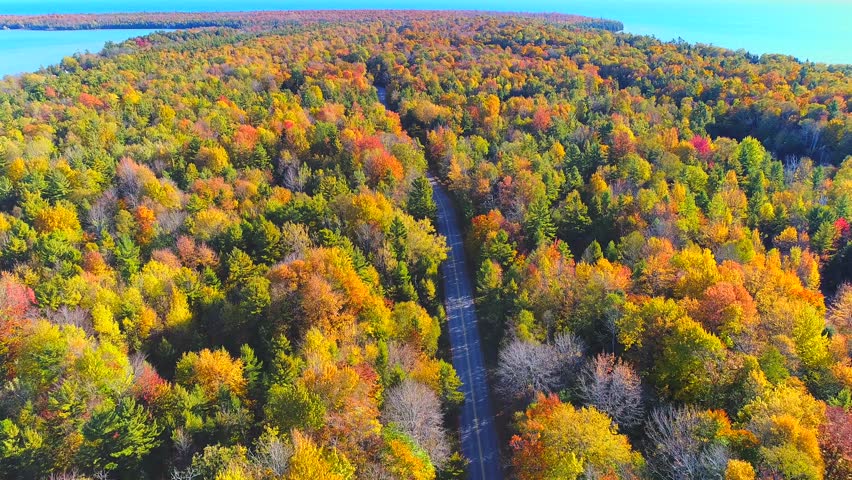 Dazzling aerial view of country road through breathtaking Autumn colors, aerial view.
