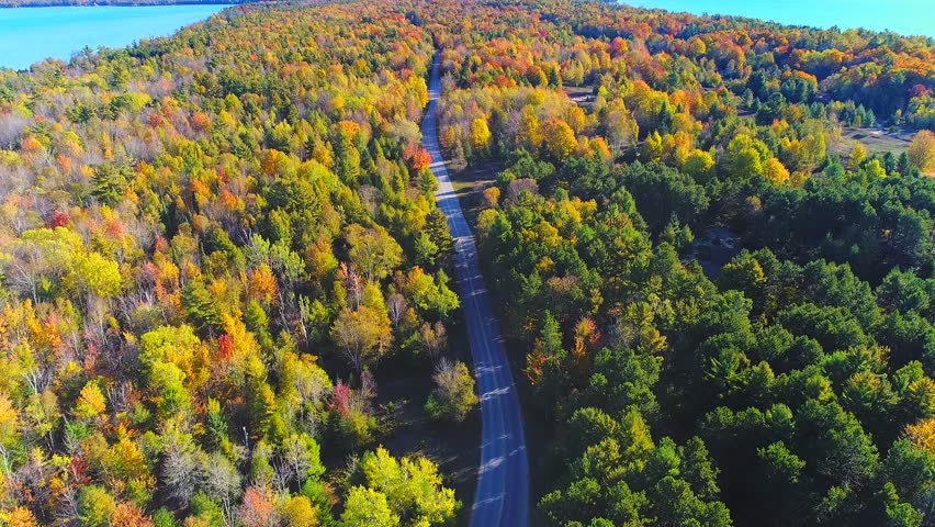 Dazzling aerial view of country road through breathtaking Autumn colors, aerial view.
