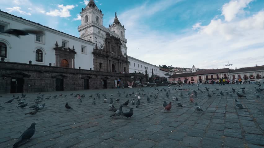 Slow motion pigeon birds flying on the blue sky san francisco church, Quito Ecuador.