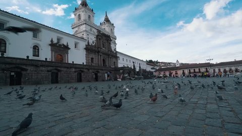 Slow motion pigeon birds flying on the blue sky san francisco church, Quito Ecuador.