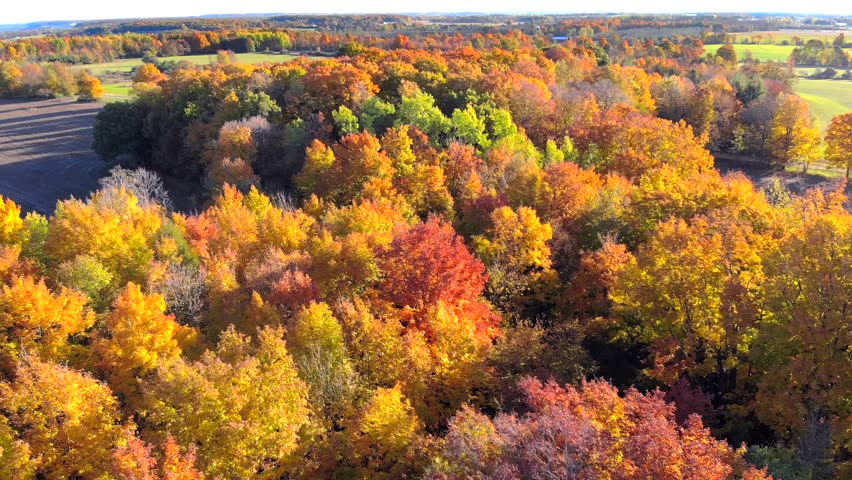 Dazzling aerial view breathtaking Autumn colors, Door County Wisconsin.

