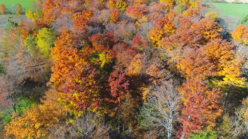Dazzling aerial view breathtaking Autumn colors, Door County Wisconsin.
