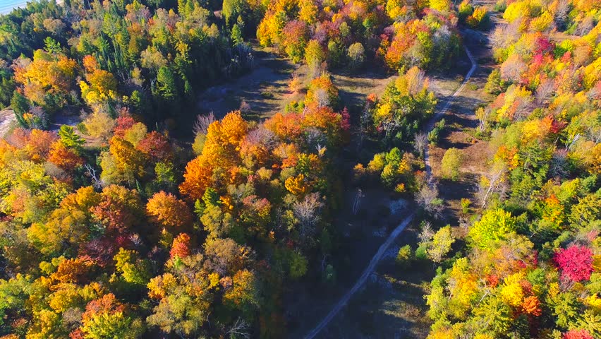 Dazzling aerial view breathtaking Autumn colors, Door County Wisconsin.
