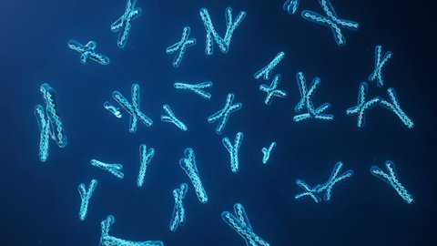 X and Y Chromosome on blue background. Chromosomes with DNA helix inside under microscope. Human chromosome. Illustration X and Y chromosome. Encoded genetic code.
