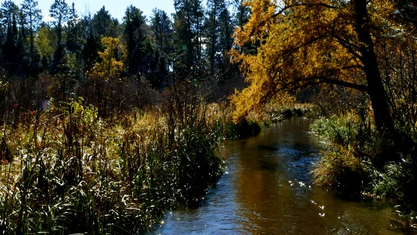 Mississippi River is just a creek in Lake Itasca State Park in Minnesota. This scene is a few yards from the source at Lake Itasca and includes the boardwalk after early autumn snow.