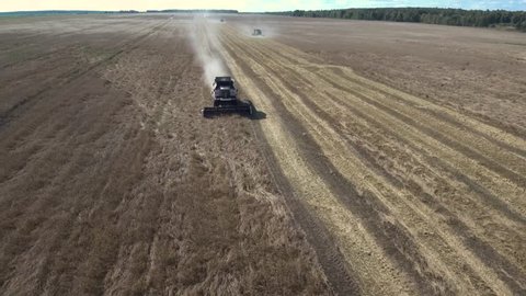 Grain grower. Combines harvesting grain. Aerial view.