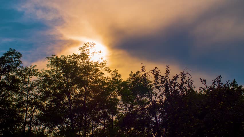 Sunset behind trees - Time Lapse