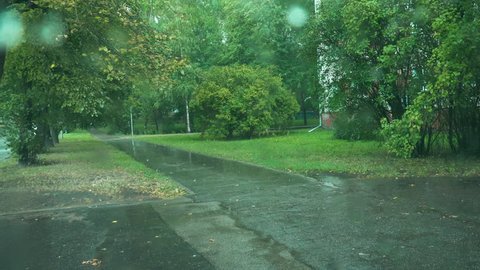 Rain in green city streets, 4k