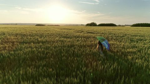 Cute girl with a multicolored umbrella walking in a wheat field at sunset, flying around, 4k