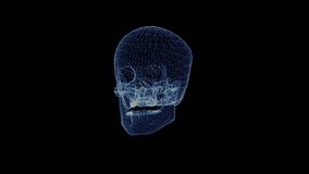 The hologram of a human skull. 3d animation of x-ray head on black background with seamless loop - Powered by Shutterstock - Get 15% off with code: PIKWIZARD15