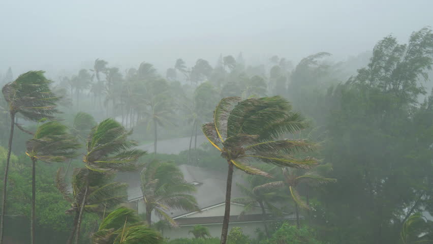 Tropical Storm with Rain and High Winds Hit Island