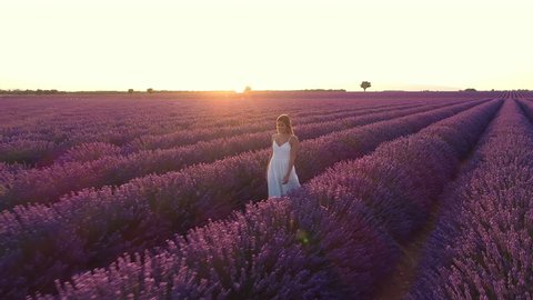 Aerial - Beautiful young woman in a white dress walking through purple lavender field at sunset Stockvideo