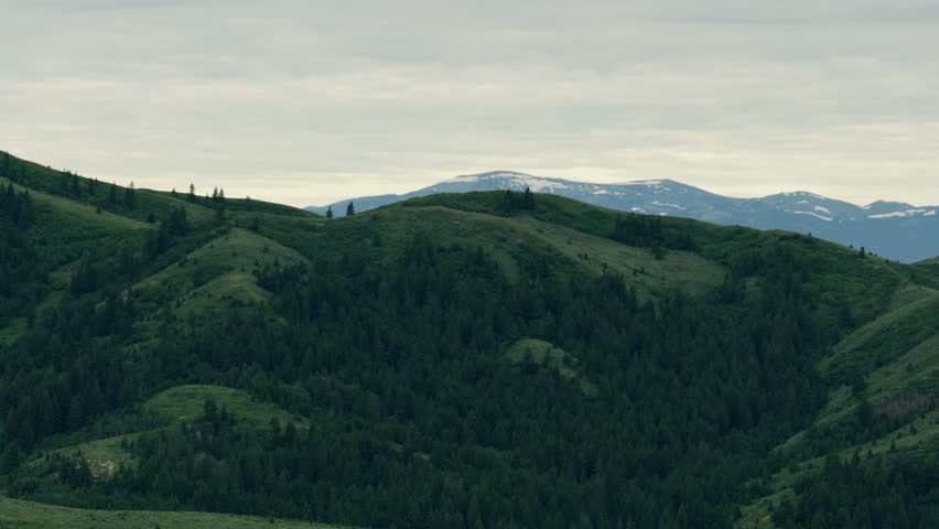 Aerial view of rural lush fertile grassland agricultural farmland in the rolling countryside of the American North West Idaho USA RED WEAPON