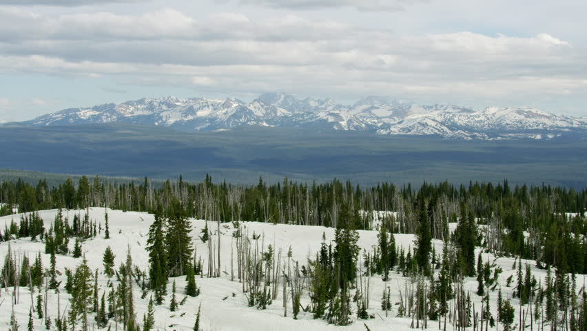 Aerial view of Yellowstone National Park Grand Teton mountains remote wilderness snow covered evergreen pine forests Wyoming USA RED WEAPON