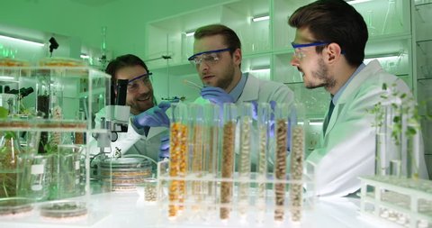 Biochemist Men Examine Seeds and Corn Genetically Engineered Science Laboratory