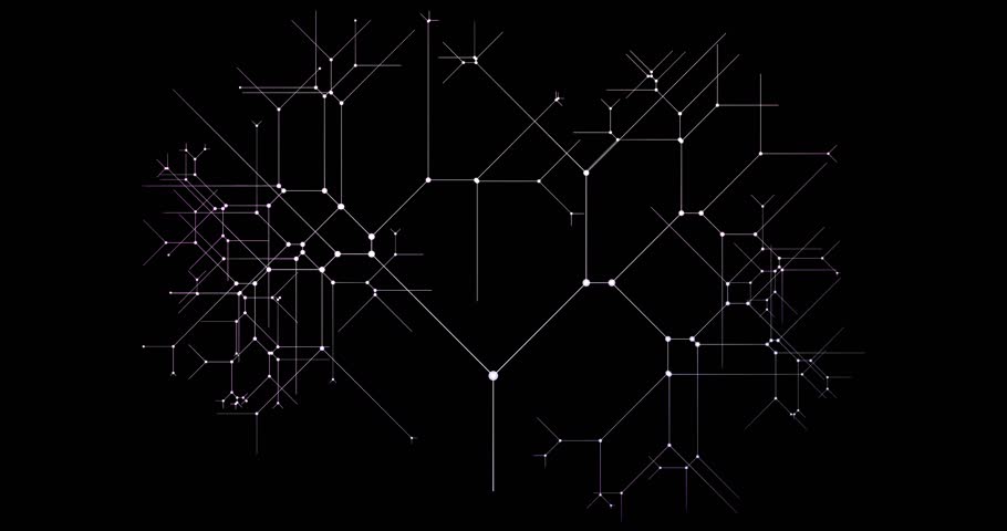 Shutterstock Video
