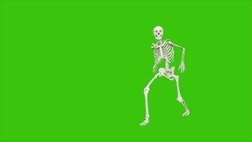 Skeleton dancing. Seamless loop animation on green screen.