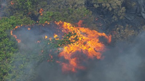 Aerial view of Kilauea destruction hot lava and toxic gases destroying trees and vegetation igneous rock solidifying on cooling Hawaii USA RED WEAPON
