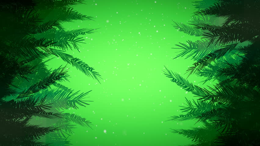 Digital composite of Christmas tree and green branches - Powered by Shutterstock - Get 15% off with code: PIKWIZARD15