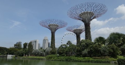 SINGAPORE, SINGAPORE - JANUARY 28, 2018 Supertree Grove Large Canopies in Singapore Garden Iconic Sightseeing Landmarks