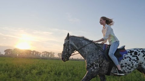 Super slow motion of young girl riding on a horse on the meadow during sunset.