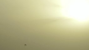 Small silhouette of person flying with parachute pulled by motor boat in sunny golden sunset sky background. Beach fun and entertainment concept. Real time full hd video footage.